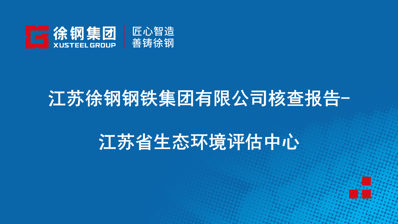 江蘇徐鋼鋼鐵集團(tuán)有限公司核查報(bào)告-江蘇省生態(tài)環(huán)境評(píng)估中心